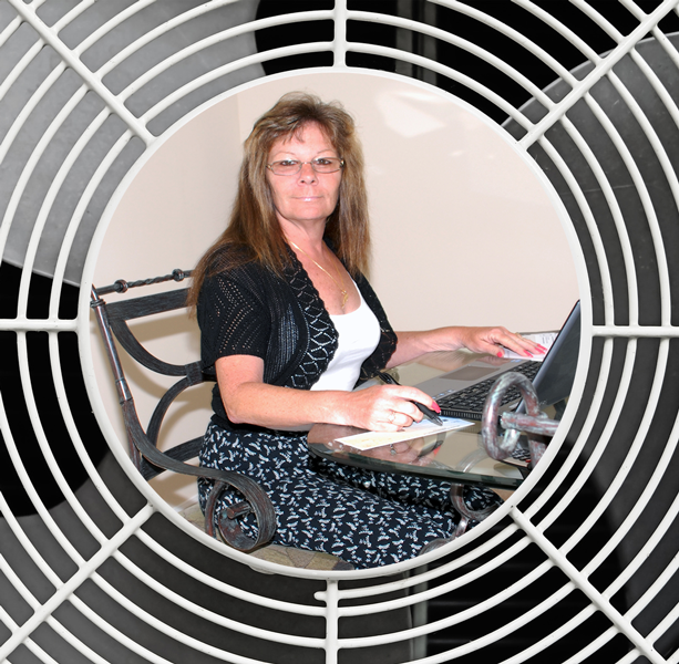 Carlyn - Account Payable & Receivable Carlyn, Owner and Founder Air Pros